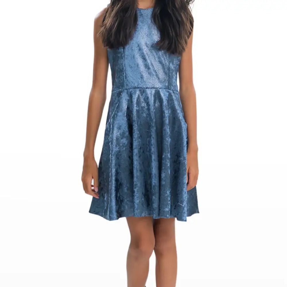 Zoe ltd Snakeskin Print Pocket Fit-&-Flare Dress